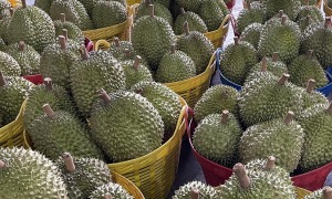 Giá sầu riêng tăng mạnh
