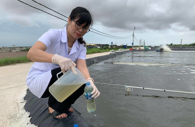 Tiến sĩ tạo chế phẩm làm sạch ao nuôi tôm cá