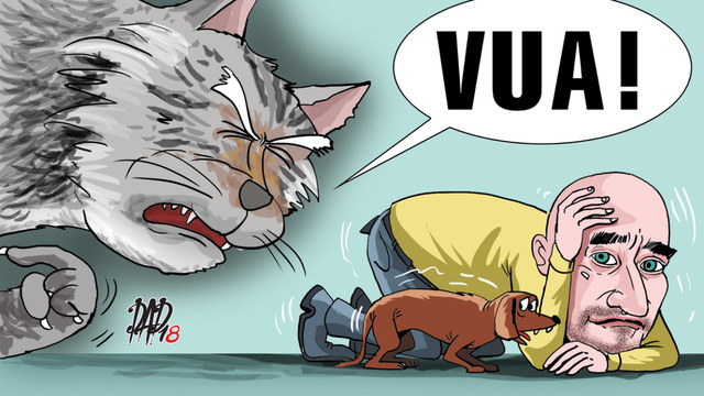Tết chó bàn chuyện… mèo