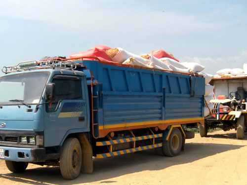 Lúa ngoại tràn qua vựa lúa
