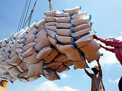Giá gạo sẽ tăng gấp ba trong 18 tháng tới?