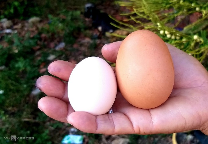 Trứng 'lạ' hút khách mùa Tết
