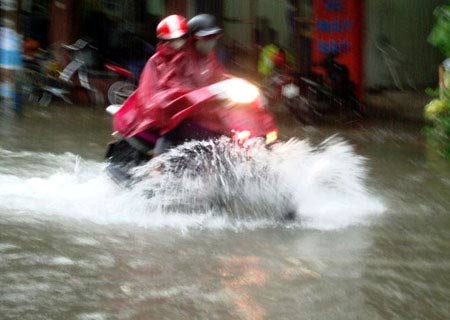 Phá rừng khiến lũ miền Trung trầm trọng  