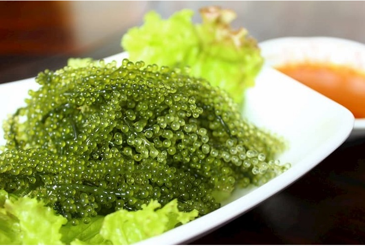Loại “rau của nhà giàu” được bán tràn lan với giá “siêu rẻ”, chỉ từ 35 nghìn đồng/kg