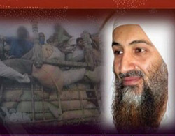  Bin Laden nói về biến đổi khí hậu