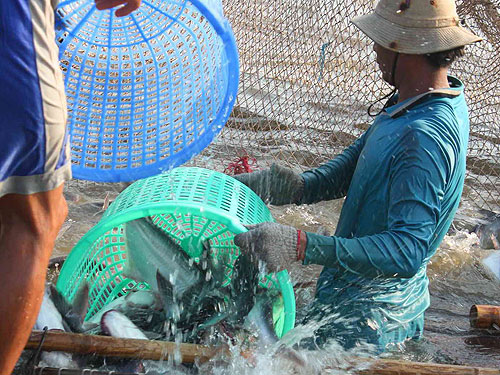 Tiêu chí của WWF không khoa học