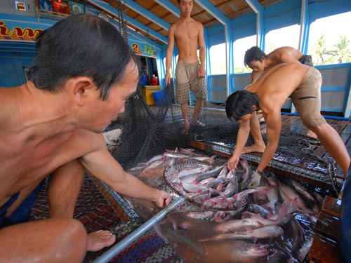 “Lệ làng” ASC