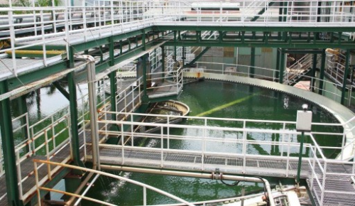 Ajinomoto Việt Nam với phương châm phát triển vì môi trường