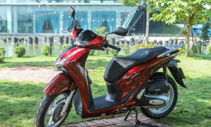 Vô ý làm mất xe SH của bạn mà không có tiền đền, sẽ bị đi tù?