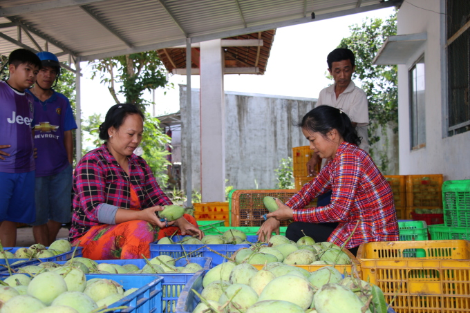 Giá xoài, mận tăng gấp đôi