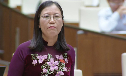 Đại biểu Quốc hội trăn trở chuyện vay nợ, sản xuất khó khăn