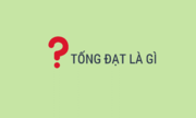Vì sao khi giao văn bản cho người phạm tội lại gọi là 'tống đạt'?