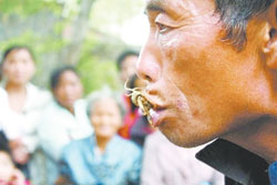 Ai cắn ai?   