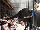 Du khách Việt lo ngại biểu tình ở Thái Lan 