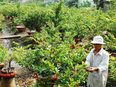 Nổ súng vào vợ bạn