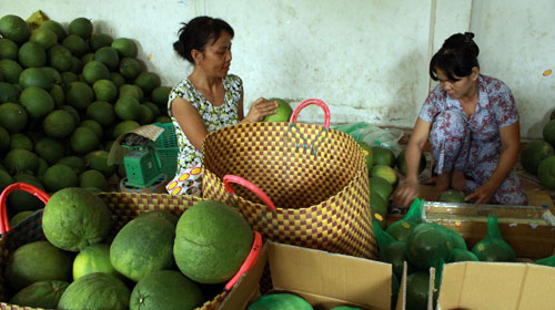 Mất mùa trái cây tết