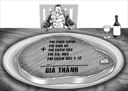  Bò tuyệt đỉnh  