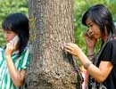 Công bố thuê bao của các mạng di động 