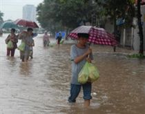Siêu thị khan hàng, chợ vẫn đội giá 
