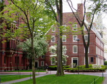 Cửa vào Harvard hẹp hơn 