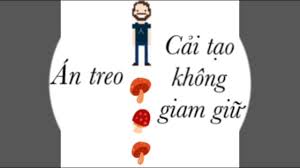 Tù treo khác biệt thế nào với hình phạt cải tạo không giam giữ?