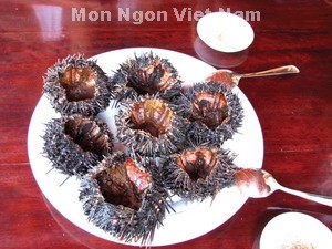 Mắm Tiến - Mắm Tiền 