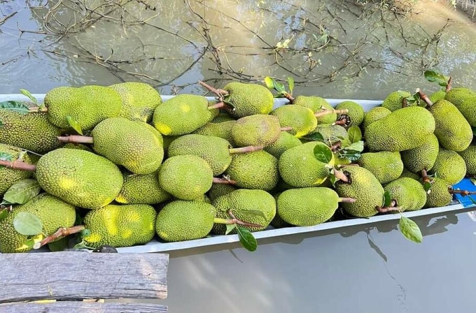 Giá mít Thái, dưa hấu xuống dưới 5.000 đồng một kg