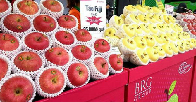 Táo sạch từ Nhật Bản chính vụ 2018 đã có mặt tại Việt Nam