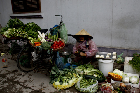 Rau xanh đắt đỏ vì giá rét