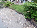 TP HCM 'đặc' khói bụi 