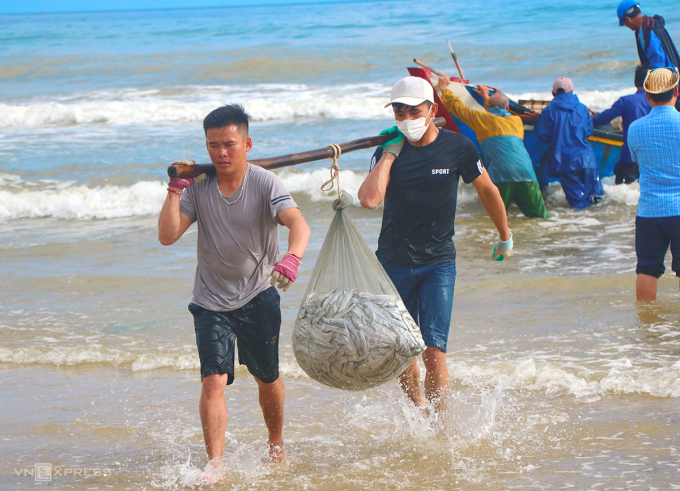 Ngư dân được mùa cá hố
