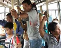 TP HCM nhân rộng xe buýt chất lượng cao 