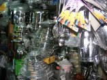 Trần Thị Ngọc Kiều