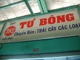 TƯ BÔNG