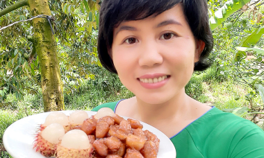Khởi nghiệp từ vườn chôm chôm ế