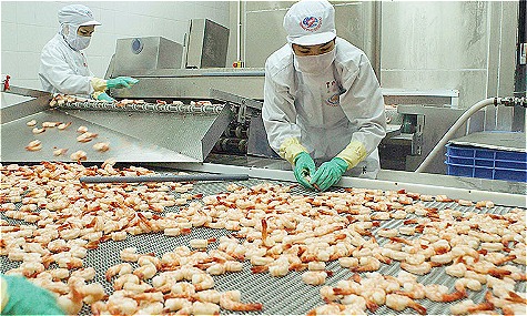 Tôm xuất khẩu giảm mạnh